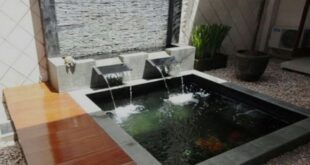 5 Desain Taman Belakang Rumah yang Nyaman dan Asri