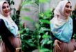 Manfaat Cuti Hamil Bagi Ibu Pekerja